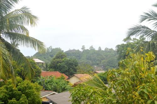One C Hostel