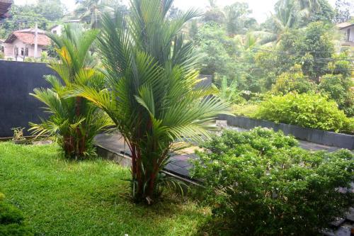 One C Hostel