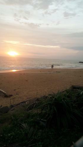 Sea View Resort