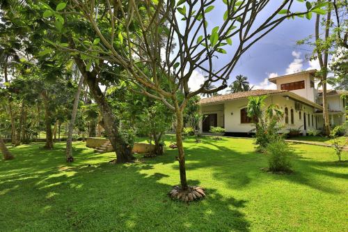 Amara Villa