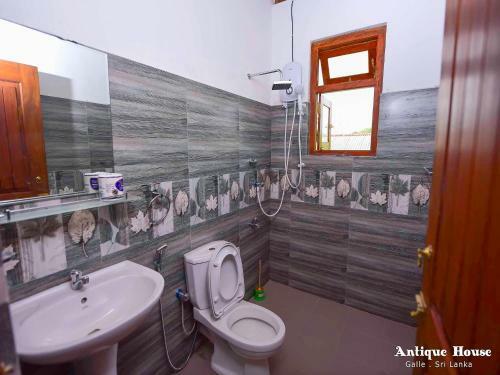 Villa Antique House