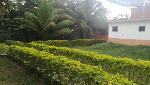 Hotel Friends Paradise