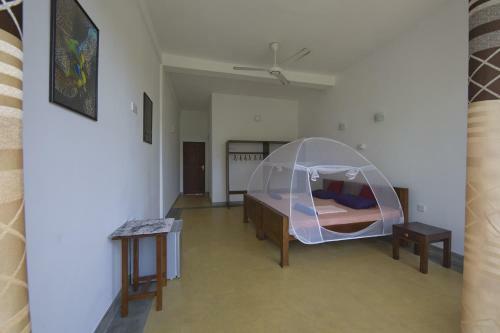 Hostal Villa Nemo