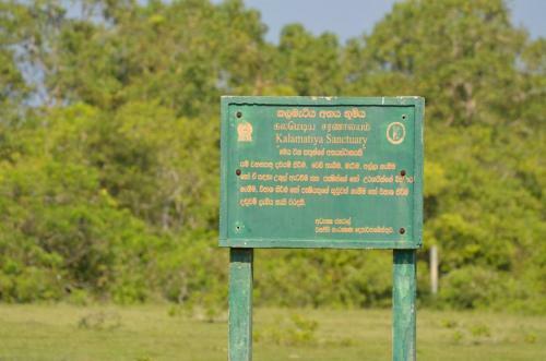 Lodge Taragala Chalets