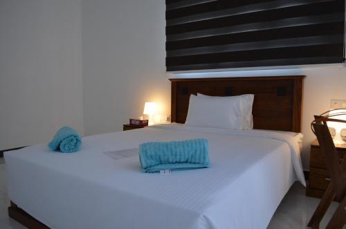 Beach Mount Apartment (blue Ocean Apartment)