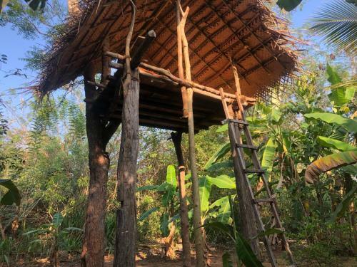 Hostal Wilpattu Guest