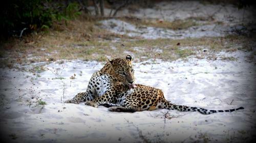 Base Camp Wilpattu
