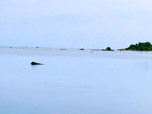 Sunrisebay Passikuda