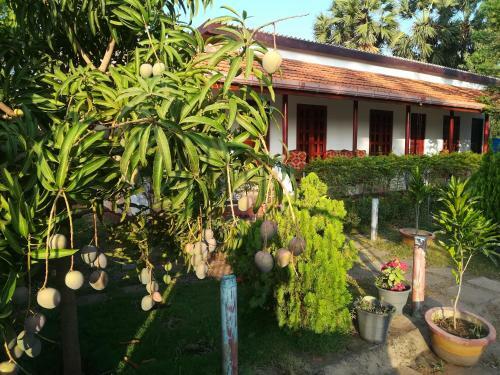 Hostal Sun And Sand