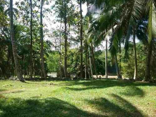 Hostal Nature's Hideout Holiday Home