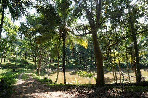 Hostal Nature's Hideout Holiday Home