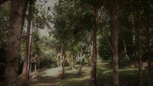 Hostal Nature's Hideout Holiday Home