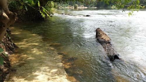 Hostal Nature's Hideout Holiday Home