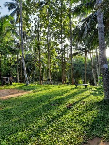 Hostal Nature's Hideout Holiday Home