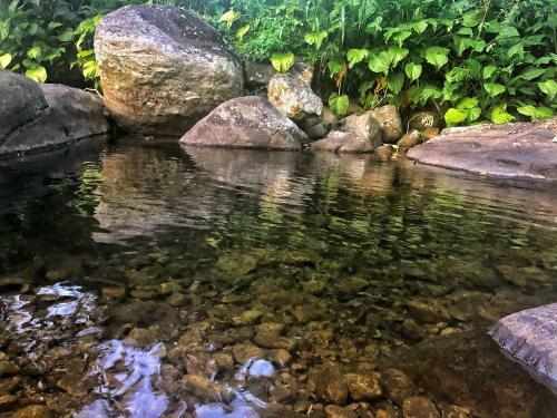 Lodge Knuckles Hiking Rest
