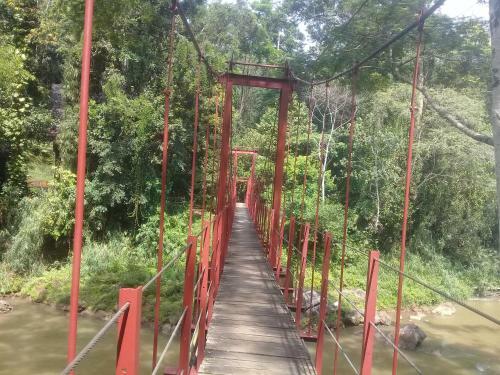 Sinharaja River Face Hotel
