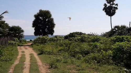Whisky Point Beach Room And Hostel