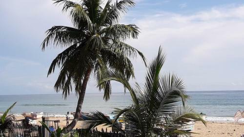 Whisky Point Beach Room And Hostel