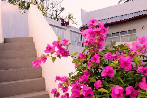 Villa Oak Residencies