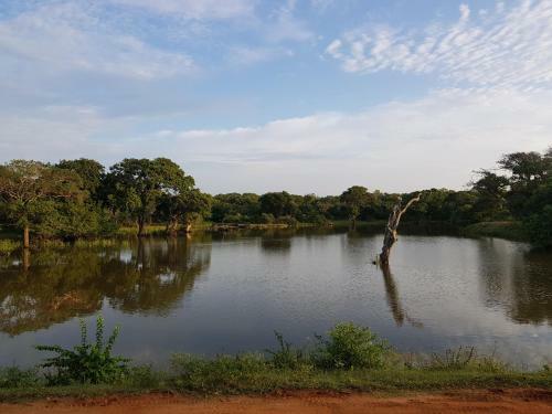 Eco Island Sri Lanka Tented Safari Camp Yala