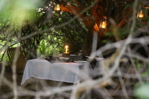 Eco Island Sri Lanka Tented Safari Camp Yala