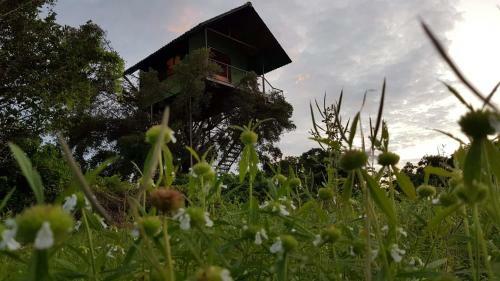 Eco Island Sri Lanka Tented Safari Camp Yala