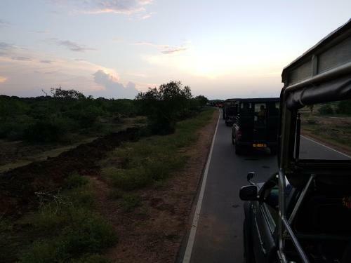 Eco Island Sri Lanka Tented Safari Camp Yala