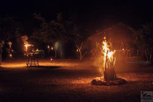Eco Island Sri Lanka Tented Safari Camp Yala