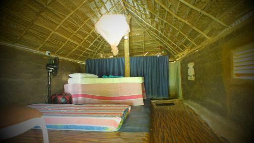 Jungle House