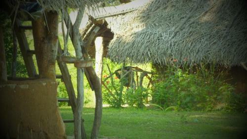 Jungle House