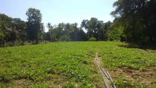 Agroturismo Wdn Guest & Tours