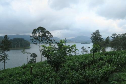 Hostal Hotel Mango Tree Nearest Adam's Peak