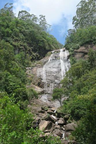 Hostal Hotel Mango Tree Nearest Adam's Peak