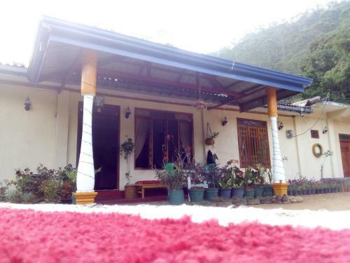 Hostal Vegetable Garden
