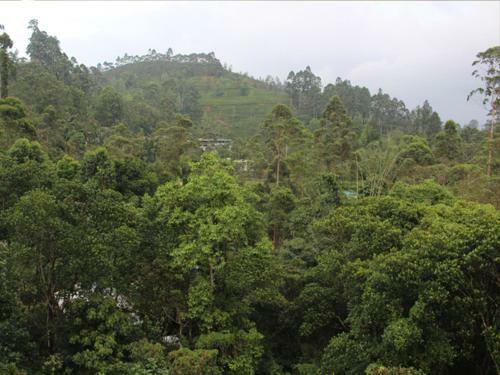 Delhousie Hotel Galle