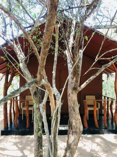 Rivosen Camp Yala Safari