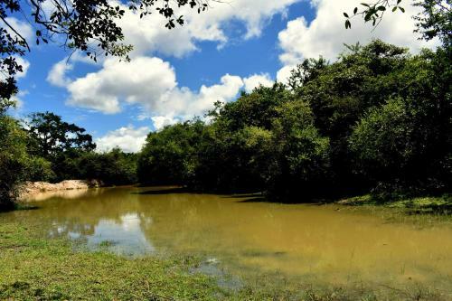 Rivosen Camp Yala Safari