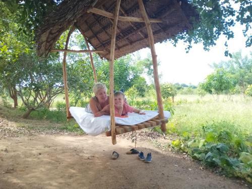 Wild Eco Safari