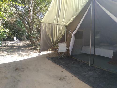 Wild Eco Safari
