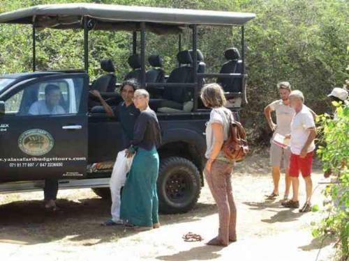 Wild Eco Safari