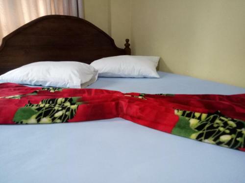 Hotel Ayos Hill Adam's Peak Free Shuttle