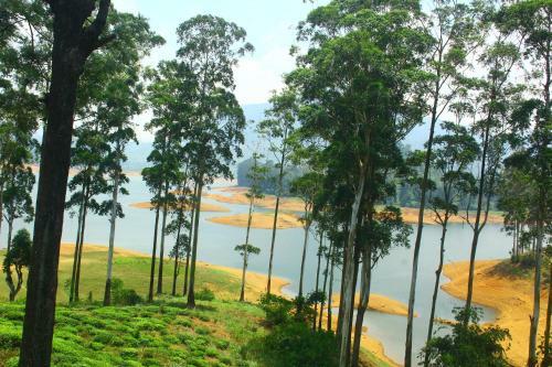 Hotel Ayos Hill Adam's Peak Free Shuttle