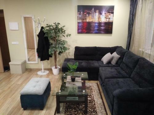 Apartamentai Dana