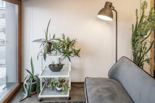 Maironis Apartment 2