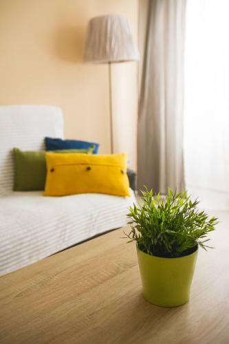 Kaunas Center 3 Room Apartment