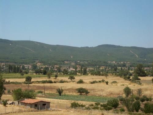 Villa Kavi Homes
