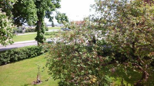 Apartamento Nidos Rojus