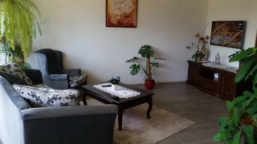 Family Apartment Nida