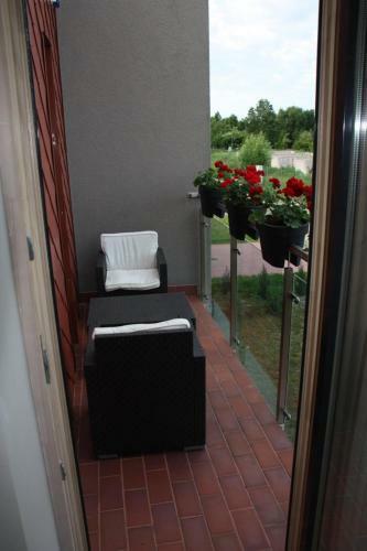 Family Friendly Apartment Baltic Seaside