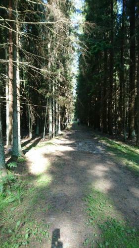 Family Friendly Apartment Baltic Seaside